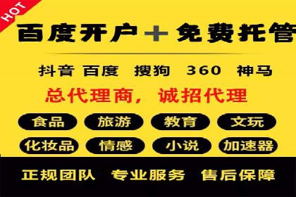 百度SEO推广策略深度解读：某企业网络营销的胜利之路