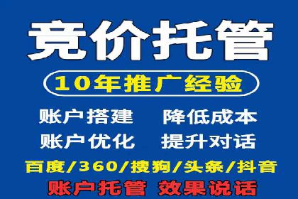专业SEM代运营托管公司案例分析